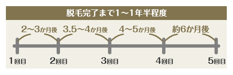 患者さまの毛周期に合わせた効率よい施術スケジュールをご提案