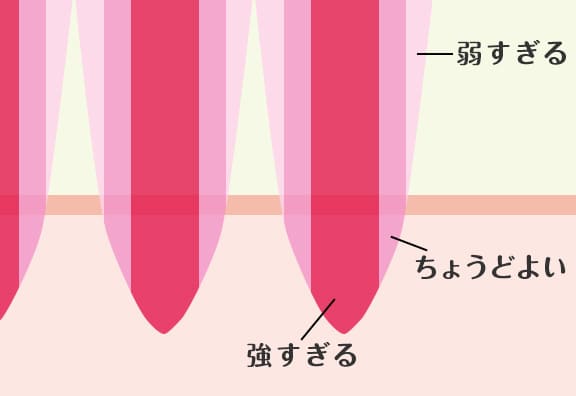 ガウシアン型皮膚の断面イメージ